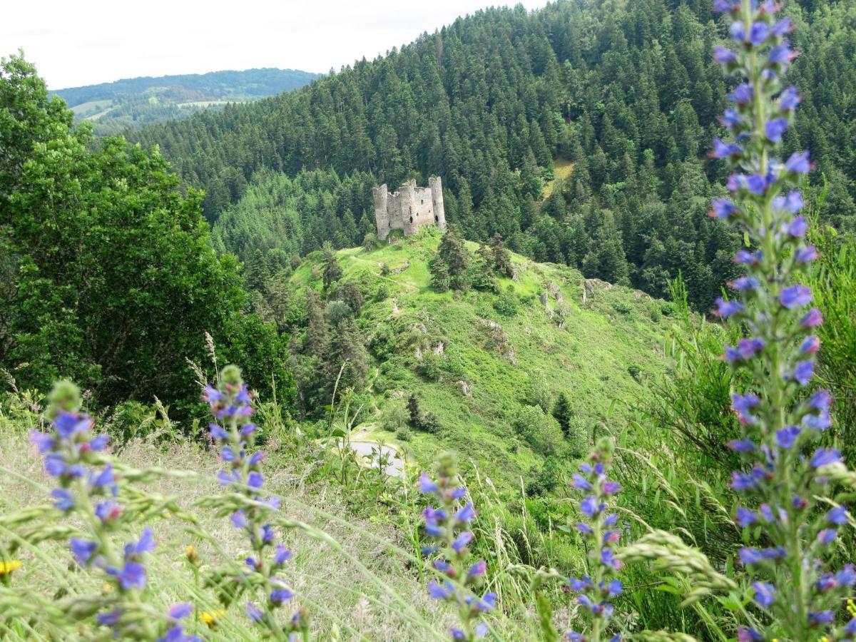 Hotel Des Rochers Marvejols Kültér fotó
